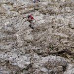 Ferrata Stella Alpina 36 primo tratto