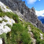 Ferrata Stella Alpina 40 sentiero
