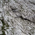 Ferrata Stella Alpina 41 sentiero lastoni