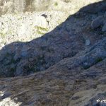 Ferrata Stella Alpina 46 primo tratto e attacco