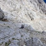 Ferrata Stella Alpina 62 discesa